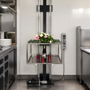 Montacarichi a Vassoio Piccolo da 100 kg, Mini Elevatore Semplice per Alimenti da Cucina per Hotel e Ristoranti - Product Image 3