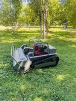 Tondeuse à fléaux de 800 mm, 1000 mm, 1200 mm, tondeuse à gazon à chenilles télécommandée avec certificat CE EPA pour les travaux de broussailles