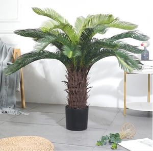 Trong nhà nhân tạo <span class=keywords><strong>cycad</strong></span> Cuộc Cách Mạng <span class=keywords><strong>Bonsai</strong></span> lễ hội cây nhựa cây <span class=keywords><strong>bonsai</strong></span> cho văn phòng ngoài trời bàn đám cưới cỏ gỗ Hoàng Dương hàng rào - Product Image 4