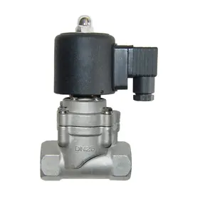 Válvula solenoide piloto Válvula solenoide de alta temperatura personalizada 12V 24V 220V Válvula solenoide