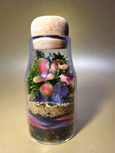 <span class=keywords><strong>Vase</strong></span> de terrarium en verre de 150ml Art déco moderne avec liège en bois et mousse Présentoir de table de Noël créatif - Product Image 3