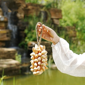 Popular Natural Nut Shell Wind <b>Chime</b> <b>Bells</b> Home Decor Hanging Ornament Healing Instrument for Yoga Meditation - Product Image 3