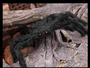 Decorazione Horror per Feste in Giardino a Tema Casa Stregata, Ragno Nero Peloso e Realistico in Peluche per Halloween - Product Image 3