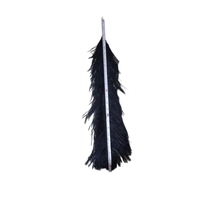 Plumes d'autruche longues et noires teintées Soraj Enterprises, taille 26-28 pouces, artisanat fait main, projets artistiques créatifs, mariage, maison, fête