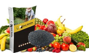 Produits agrochimiques Extrait <span class=keywords><strong>complet</strong></span> soluble <span class=keywords><strong>d</strong></span>'algues <span class=keywords><strong>Flocon</strong></span> <span class=keywords><strong>d</strong></span>'engrais organique - Product Image 2