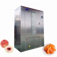 Sécheuse alimentaire de qualité supérieure, sécheuse à pompe à chaleur, tout-en-un, pour bananes/pommes de terre/ananas/mangues, sécheuse à raisin