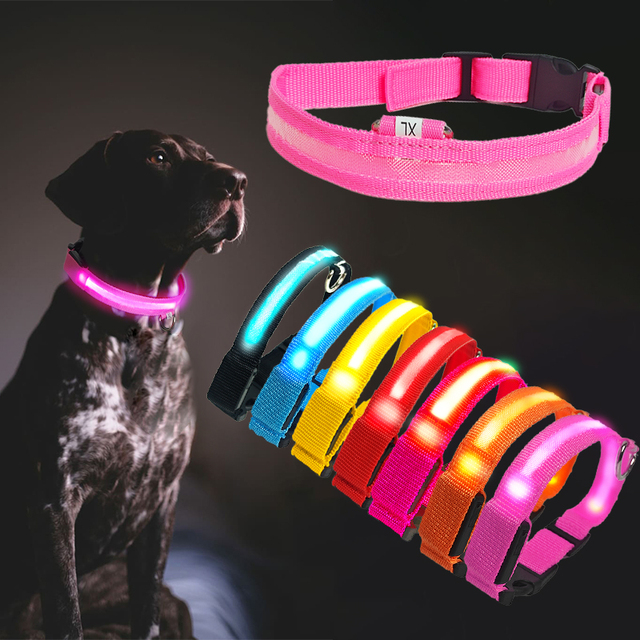 Customized Packaging Rechargeable Waterproof Fashion Light up Pet Collar Personalized Glowing in the Dark LED Dog Collar