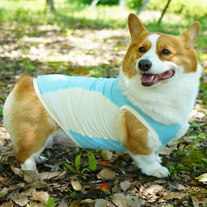 Gilet <span class=keywords><strong>rafraîchissant</strong></span> <span class=keywords><strong>pour</strong></span> chiens - Veste d'été respirante en polyester au design minimaliste moderne Modèle ST26 - Product Image 2