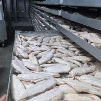 Aliments pour animaux de compagnie lyophilisés riches en protéines OEM ODM pour chats et chiens avec poulet, foie de canard et jaune d'œuf - Snacks en gros