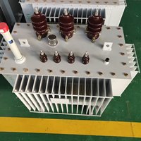 Transformador de Potencia Trifásico de 10KV 160KVA, Sumergido en Aceite, Autoenfriado, Tipo Flyback, de Aluminio, 50/60Hz