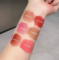 INS Gloss à lèvres populaire, marque privée, gelée, mignon, 6 couleurs, brillant à lèvres liquide longue tenue