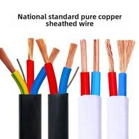 Hochwertiges 220V Single Flexible PVC Isoliertes Stromkabel 2-3 BVVB Flach kabel Litzen Kupferdraht 100m Rolle für Industrie