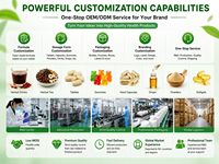 Capsules de soutien capillaire Biotine 10000 mcg Collagène MSM Complément alimentaire 120 unités pour 60 jours