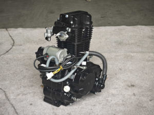 Motore per Triciclo Bajaj Zongshen <span class=keywords><strong>Dede</strong></span> 4 Tempi 200cc Raffreddato ad Acqua Nuova Condizione Accensione CDI Avviamento Elettrico e a Pedale - Product Image 4