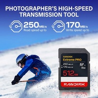 Kartu Flash SanDisk PRO Asli 100% Micro Card 4K V30 U3 C10 512GB Cocok untuk Penyimpanan Kamera 4K