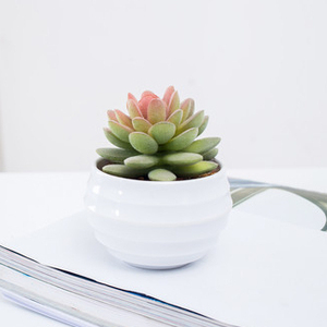 mayor <span class=keywords><strong>de</strong></span> <span class=keywords><strong>interior</strong></span> al aire libre casa jardín decoración 3D maceta <span class=keywords><strong>de</strong></span> suculentas plantas artificiales <span class=keywords><strong>de</strong></span> melamina para - Product Image 4