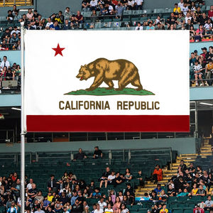 Заводская розетка, индивидуальная двухсторонняя модель флага штата 3x5 футов, 100% полиэстер, наружная модель флага штата Калифорния - Product Image 2