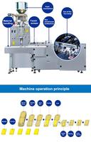 Automatique détox côlon nettoyant thé perte de poids thé sac boîte Emballage ligne de production
