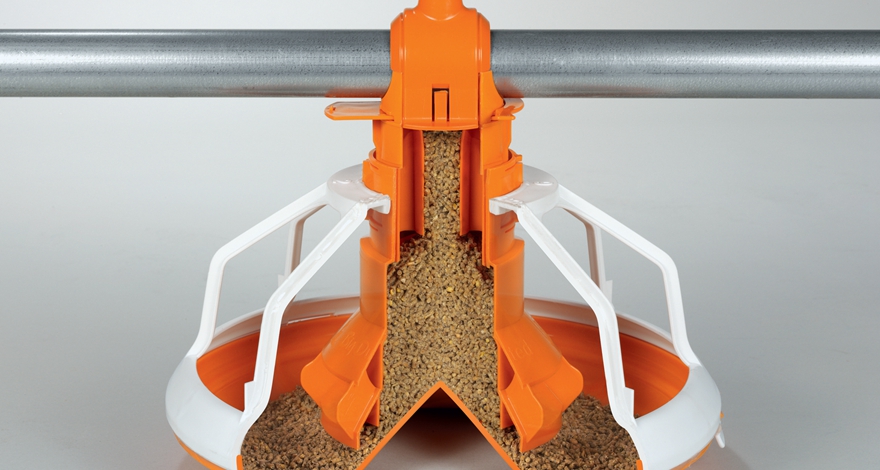 Automatic Feeding Line For Poultry Poultry Equipments Production Line Feeding Chicken Feeder Poultry Farm Animal Feeders