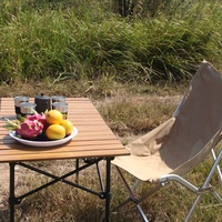 Table de camping pliante portable moderne pour l'extérieur, avec pieds en métal aluminium et fer, ultra-légère, design compact imitation bois