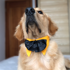 Colliers à nœud papillon pour chiens, nouveauté, vente en gros directe usine, pour banquets et fêtes - Product Image 4