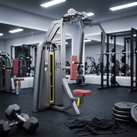 Pecdec Fly Rear Delts Dual Line, équipement de fitness pour la musculation des pectoraux et du dos