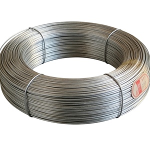 Alambre de Hierro Galvanizado de Alta Calidad a Precio de Fábrica, Calibres 0.1mm, 0.5mm, 2mm, 3mm, 22-26, Q195, Q235, SAE1006-1008, 22-30 - Product Image 5