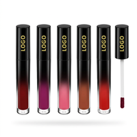 Gloss à lèvres soyeux effet miroir, fini naturel, haute brillance, teinte à lèvres, marque privée, vente en gros, ensemble cosmétique pour la vente au détail