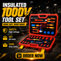 WEIDA – Ensemble d'outils isolés VDE 1000V, 25 pièces, certifié IEC 60900, comprenant clé à cliquet isolée, pince et tournevis