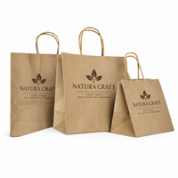 Sac fourre-tout en papier kraft brun avec impression de logo personnalisé et poignée en papier torsadé pour les courses, les supermarchés, le commerce de détail et l'emballage