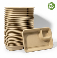 25x17cm 2-delige milieuvriendelijke magnetronbestendige recyclebare saladebox met deksel van suikerrietbagasse, wegwerp schaal voor restaurants