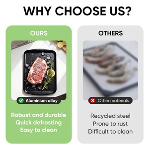 Plateau de décongélation rapide pour viande congelée, plaque de décongélation en aluminium, planche de décongélation rapide et sécurisée, gadget de cuisine en plastique PP écologique - Product Image 4
