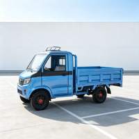 Nouveau camionnette électrique à quatre roues, usage commercial et domestique, transport de marchandises agricoles, capacité de 800 kg