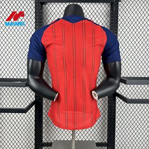 Fabrik-Großhandel Bestseller 2026 Japan Cerezo Osaka Nationalmannschaft Asiatischer Verein für Weltmeisterschaftsturnier Trikot - Product Image 2