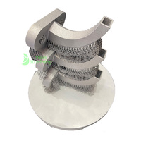 Fabricant d'impression 3D sur métal Service Imprimante 3D SLS SLM Pièces en acier inoxydable sur mesure