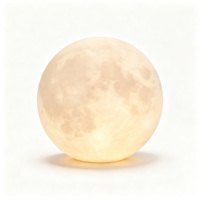 Lampe solaire de jardin minimaliste, indice de protection élevé, lumière ronde décorative pour allée paysagère, terrasse, cour
