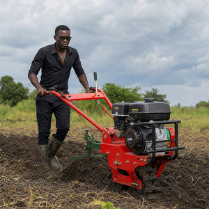 Motoculteur rotatif multifonctionnel professionnel à moteur diesel 7-9 CV pour aménagement paysager et agriculture - Product Image 1