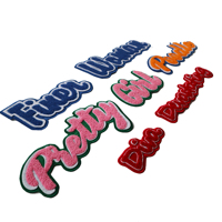 Patch en chenille rose « Pretty Girl », brodé, thermocollant ou à coudre, pour vêtements et décoration DIY, 15 ans