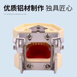 Modèle dentaire, moule dentaire, pratique et examen dentaire, joint en résine, amovible, préparation standard de dents prothétiques - Product Image 3