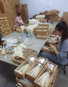 E07499 Boho vaso di vetro 40-50CM 15 30 pezzi conservato Reed Grass Set regalo piccolo bianco secco pampa erba Bouquet <span class=keywords><strong>per</strong></span> la decorazione di nozze - Product Image 2