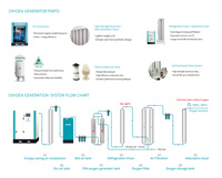 Système de générateur d'oxygène médical modulaire ZOY-Medical avec PLC et compresseur d'air pour les fermes piscicoles