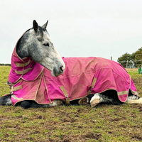 Couverture d'hiver pour cheval, grande taille, respirante, en tissu ripstop, col standard, avec sangle croisée sous le ventre, taille stable pour un confort et une chaleur optimaux