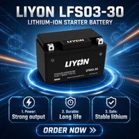 LFS03-30 12,8V LiFePO4 Lithium-Batterie Motorrad-Starterbatterie ATV-Batterie Sicher Explosionsgeschützt Motorradteile Großhandel