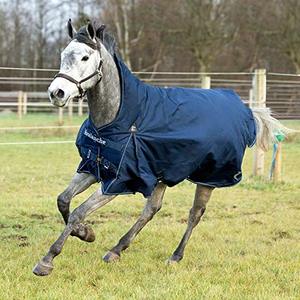 <span class=keywords><strong>Couverture</strong></span> de <span class=keywords><strong>cheval</strong></span> de polyester ou manteau de <span class=keywords><strong>cheval</strong></span> de feuille de mouche de <span class=keywords><strong>cheval</strong></span> - Product Image 5