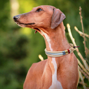 कुत्ते के कॉलर और पट्टा सेट लक्जरी कस्टम डिजाइन हैंडब्राएडेड नायलॉन हाथ मुक्त मल्टीफंक्शन प्रशिक्षण नए कुत्ते लीड पालतू पट्टा सेट - Product Image 5