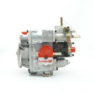 Hot Verkoop 3019487 Nt855 Cummins Diesel Brandstofinjectiepomp Brandstofinjectie Pompen Brandstofinjectie Systeem 3019487