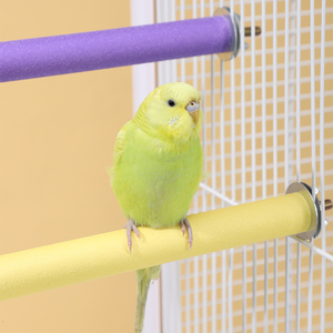 Perchoir givré pour perroquet, bâton de ponçage pour dents et griffes, décorations de cage pour perruches, jouets pour oiseaux - Product Image 2