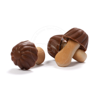 OEM/ODM vente en gros de biscuits au chocolat de haute qualité aux champignons saveur de menthe collations de vacances bonbons bonbons chocolat