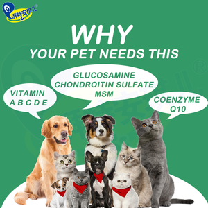 Vente en gros de minéraux de vitamine B à mâcher pour chien, réponse immunitaire saine, activité antioxydante, marque privée, supplément multivitamine pour chien - Product Image 5