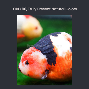 Đèn LED chiếu sáng bể cá MAYIN <span class=keywords><strong>Super</strong></span> Color 100W 220V, làm sáng bể cá nước ngọt, ngăn tảo bẹ, trồng cây thủy sinh, đèn thả bể cá - Product Image 4